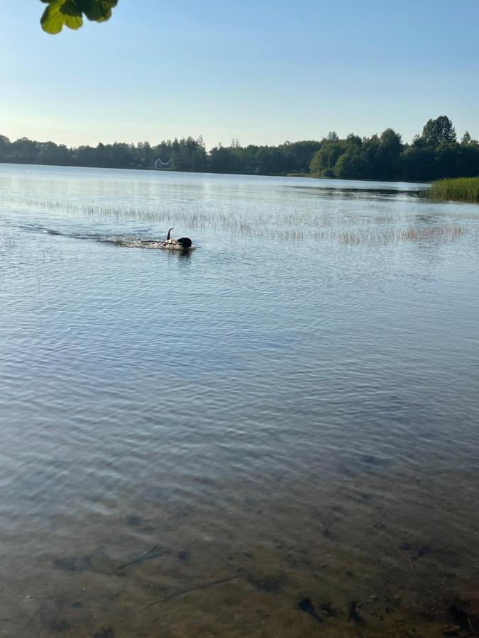 Woodhouse Resort Dobrogoszcz Eksteriør bilde